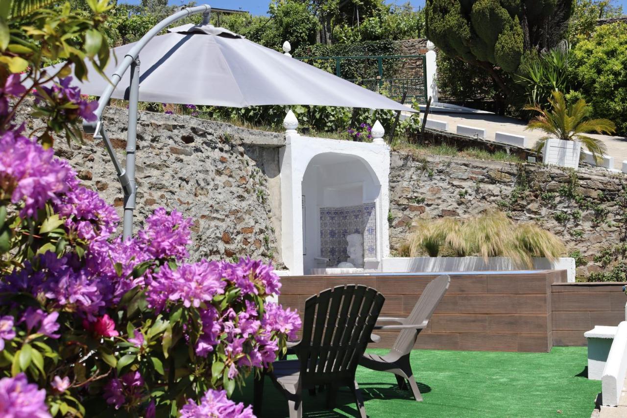 Villa Samaritana - Casa Da Vinha Vila Marim Eksteriør billede
