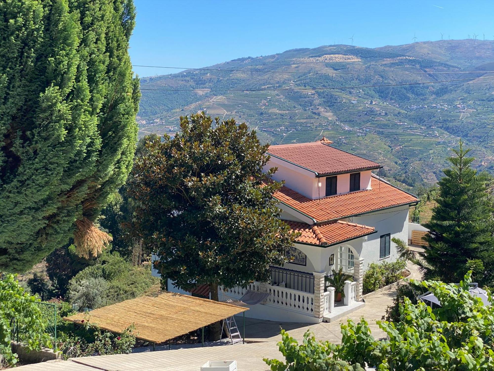 Villa Samaritana - Casa Da Vinha Vila Marim Eksteriør billede
