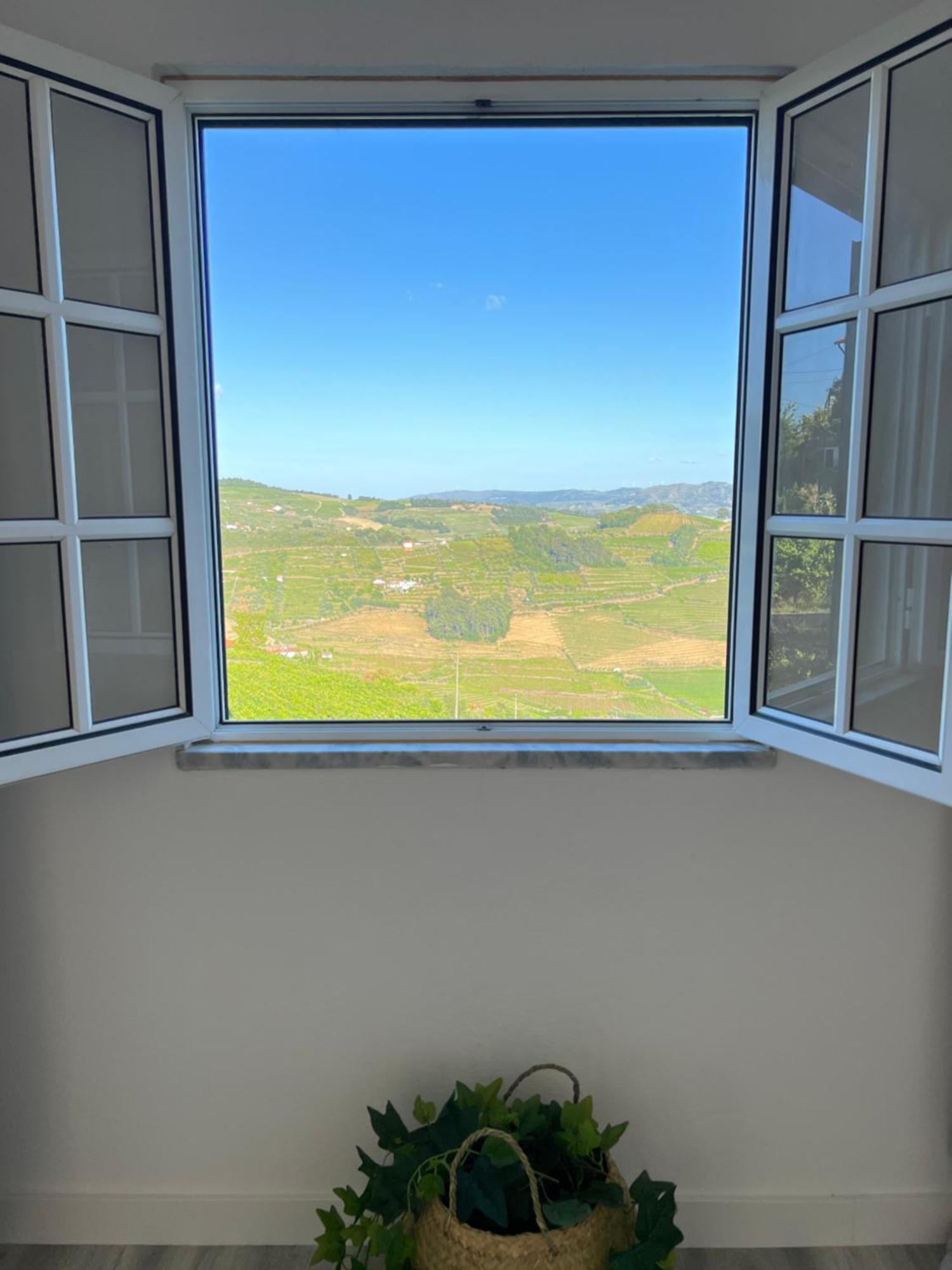 Villa Samaritana - Casa Da Vinha Vila Marim Eksteriør billede